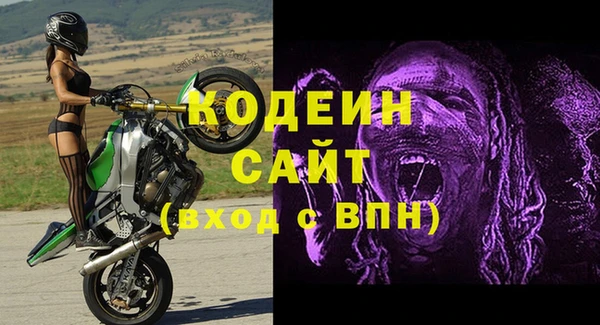 мдпв Корсаков