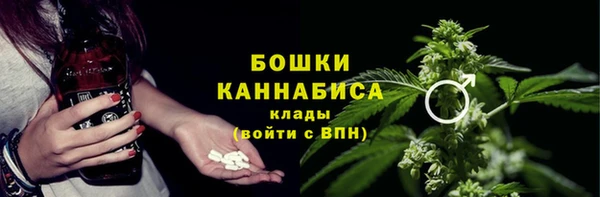 мдпв Корсаков