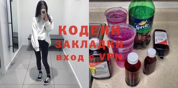 хмурый Шали