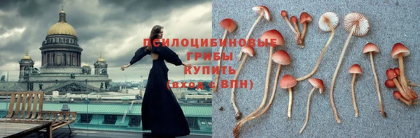 мдпв Корсаков